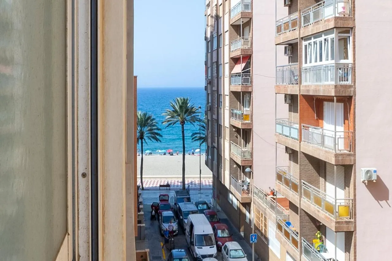 California 14 Fitsuite Almeria